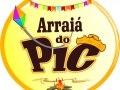 29-pic-arraia