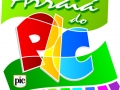 31-pic-arraia