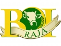 45-boi-raja