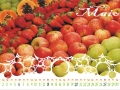63-perfa-calendario-2007-06