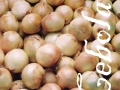 81-perfa-paineis-02
