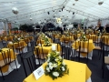 festa-do-pic-em-31-12-2009-014